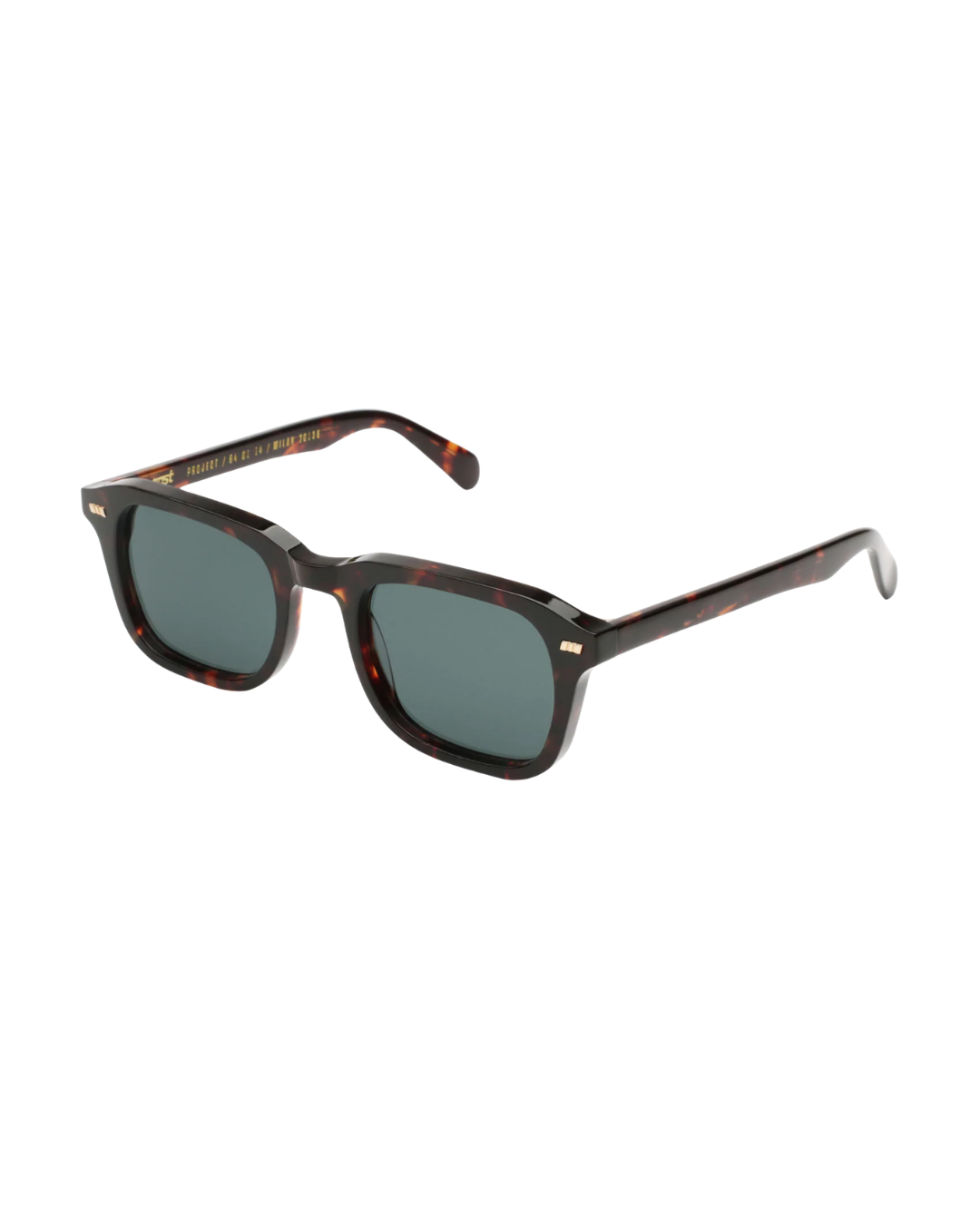 Gast Segno Classic Havana SE02 50 22 145