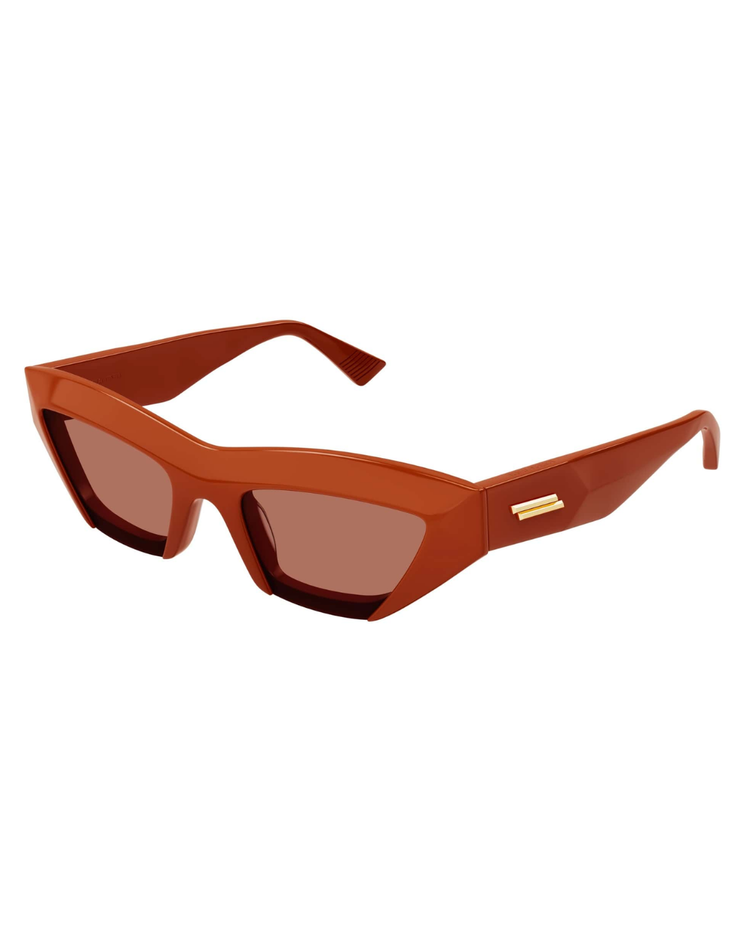 Bottega Veneta 1219S 004