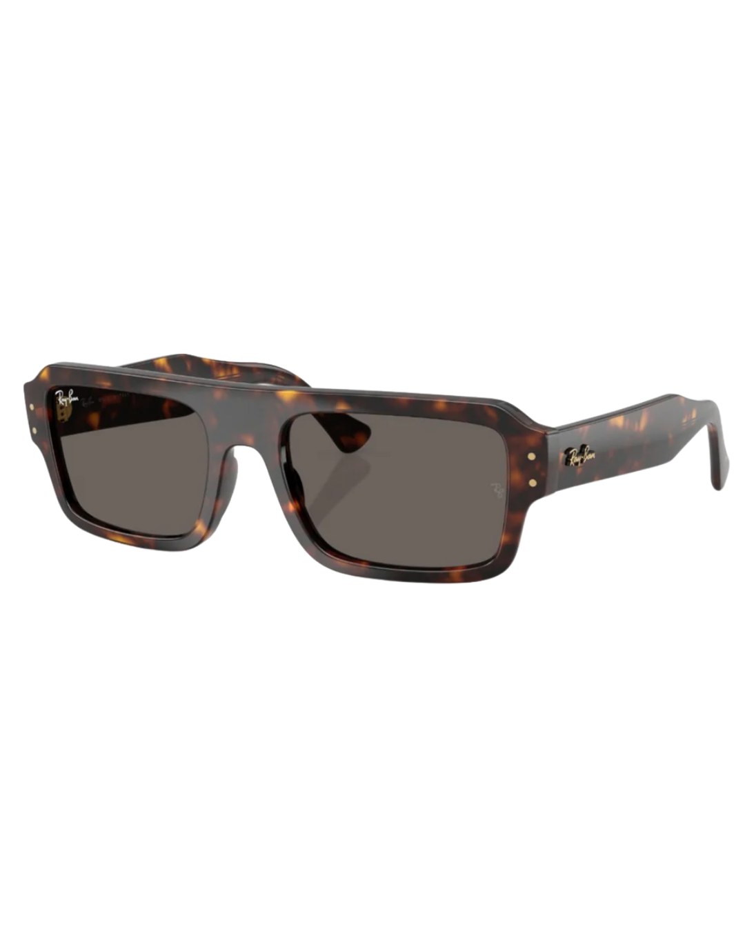 Ray-Ban 4454 53 1359B1